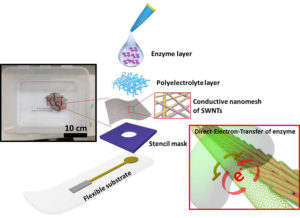 biologically assembled conductive-nanomesh enzyme platform medicine-innovates