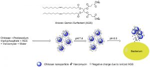 pH-responsive chitosan nanoparticles novel twin-chain anionic amphiphile delivery vancomycin Medicine Innovates