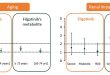 Age and mild to moderate impairment of renal function had limited impact on the PK of filgotinib, a selective JAK1 inhibitor - Medicine Innovates