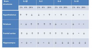 Cytokine variations within brain structures in rats selected for differences in aggression - Medicine Innovates