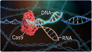 CRISPR Genome Editing Holds Back Triple-Negative Breast Cancer in Mice - Medicine Innovates