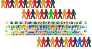 Genetic Variation Predict Success in Anxiety and Depression Therapy - Medicine Innovates