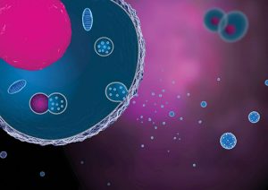 Engineering Exosomes as Mass Producers of Potential Therapeutics - Medicine Innovates