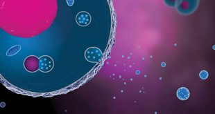 Engineering Exosomes as Mass Producers of Potential Therapeutics - Medicine Innovates