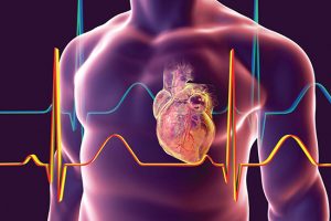 Modifying immune response can improve cardiac adult stem cell therapy - Medicine Innovates