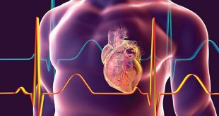 Modifying immune response can improve cardiac adult stem cell therapy - Medicine Innovates