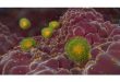 A close-up at COVID-19 coronavirus attacking lungs Medicine Innovates