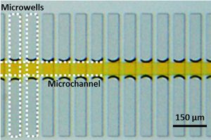 Airplug-assisted Biochip for Unbiased Multiplex Biosensing from Single T Cells - Medicine Innovates