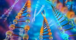 Rare Mutations in stem cells from donors may cause Cardiac Dysfunction for cancer patients - Medicine Innovates