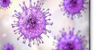 human-cytomegalovirus-Medicine Innovates