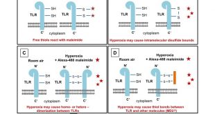 Preventing the oxidation of cysteine thiols of TLRs maybe a treatment strategy for sepsis and hyperoxic injury - Medicine Innovates
