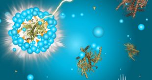 Heart Disease Biomarker Discovery Using Nanoproteomics - Medicine Innovates