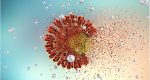 COVID-19 Nanoparticle Vaccine Elicits High Levels of Protective Antibodies in Mice - Medicine Innovates