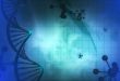 Circadian rhythm effect on gene expression - Medicine Innovates