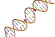 Developing a new gene-editing tool - Medicine Innovates