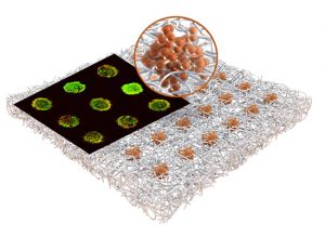 New technology develops massive arrays of tiny tumor models inside paper sheet for storage and drug testing - Medicine Innovates
