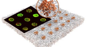 New technology develops massive arrays of tiny tumor models inside paper sheet for storage and drug testing - Medicine Innovates