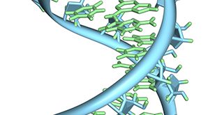 Monitoring ribosome collisions - Medicine Innovates