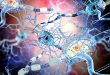 N-Acetylglucosamine: A new biomarker for severe Multiple Sclerosis - Medicine Innovates