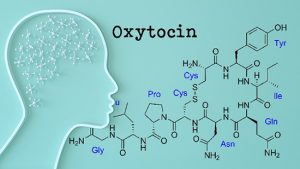CAPS2 Deficiency in Autism Impairs the Release of the Social Peptide Oxytocin - Medicine Innovates