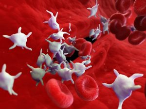 Cold-Stored Platelets-Medicine Innovates