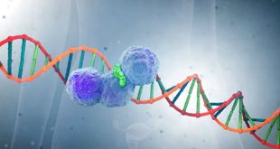 Repurposing PARP inhibitors for Cancer-Associated Sf3b1 Mutations - Medicine Innovates