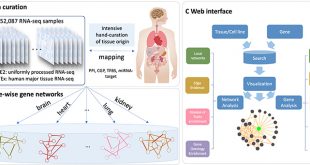 TissueNexus: a bodymap of human gene networks across 49 tissues or cell lines may help understand diseases better - Medicine Innovates