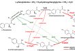 De Novo Biosynthesis of D‑p‑Hydroxyphenylglycine by a Designed Cofactor Self-Sufficient Route and Co-culture Strategy - Medicine Innovates