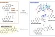 Why do the different positions of nitro groups in nitro-polycyclic aromatic hydrocarbons significantly affect their mutagenicity? - Medicine Innovates