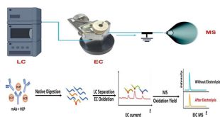 A New Method for testing Antibody Deamidation Degradation - Medicine Innovates