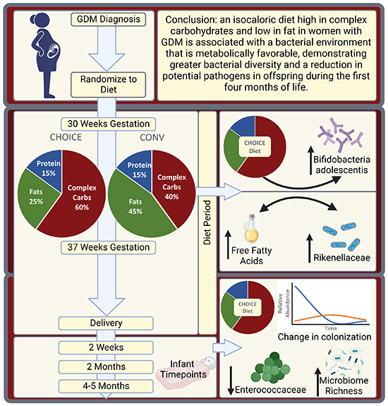 A maternal higher-complex carbohydrate diet increases bifidobacteria and alters early life acquisition of the infant microbiome in women with gestational diabetes mellitus - Medicine Innovates
