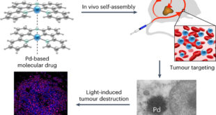 Metallophilic Interaction-Based Drug Delivery System for Highly Effective Photodynamic Therapy - Medicine Innovates