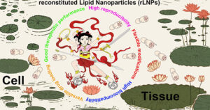Reconstituted Lipid Nanoparticles (rLNPs): A Promising Avenue in Nanomedicine for Drug Delivery - Medicine Innovates
