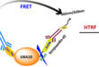 Development of USP7 Full-Length Protein in E. Coli for Enhanced HTRF Assays - Medicine Innovates