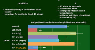 N-Alkyl thiophene carboxamides comprising ethylene glycol units: A Potential Breakthrough in Glioblastoma Treatment - Medicine Innovates