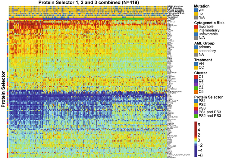 Proteomic Profiling for Optimizing Therapy Selection in Acute Myeloid Leukemia - Medicine Innovates