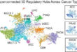 3D Regulatory Hubs as Structural Drivers of Oncogenic Programs in Glioblastoma - Medicine Innovates