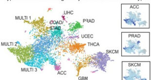 3D Regulatory Hubs as Structural Drivers of Oncogenic Programs in Glioblastoma - Medicine Innovates